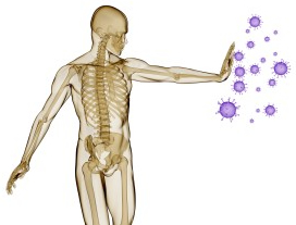 Immune-protection-iStock_000013969262Medium-image-300x225